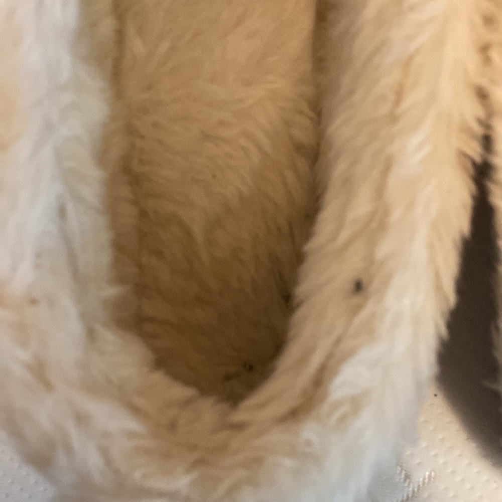 J. Crew size 9 slippers - Picture 7 of 8